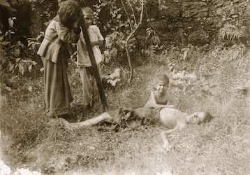 La famine a déterminé l’Église maronite à vouloir agrandir la Mutassarifya en la dotant de plaines et de ports pour la rendre viable sur le plan économique.